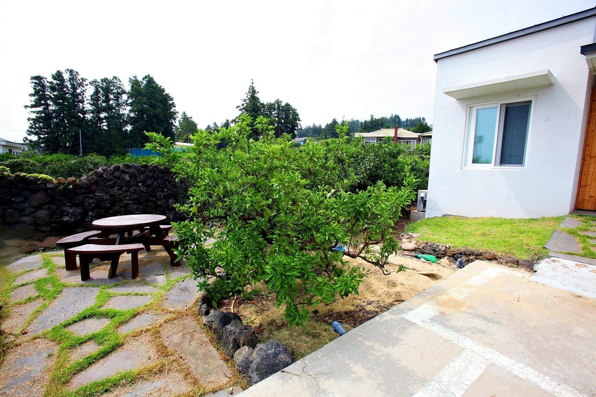 Saemmoru Pension Сеогвипо Екстериор снимка